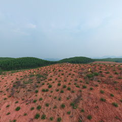 松柏村 ᵛʳ